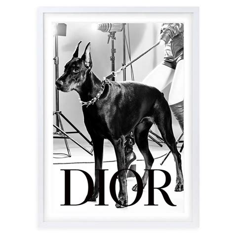 Dior Dog Art 